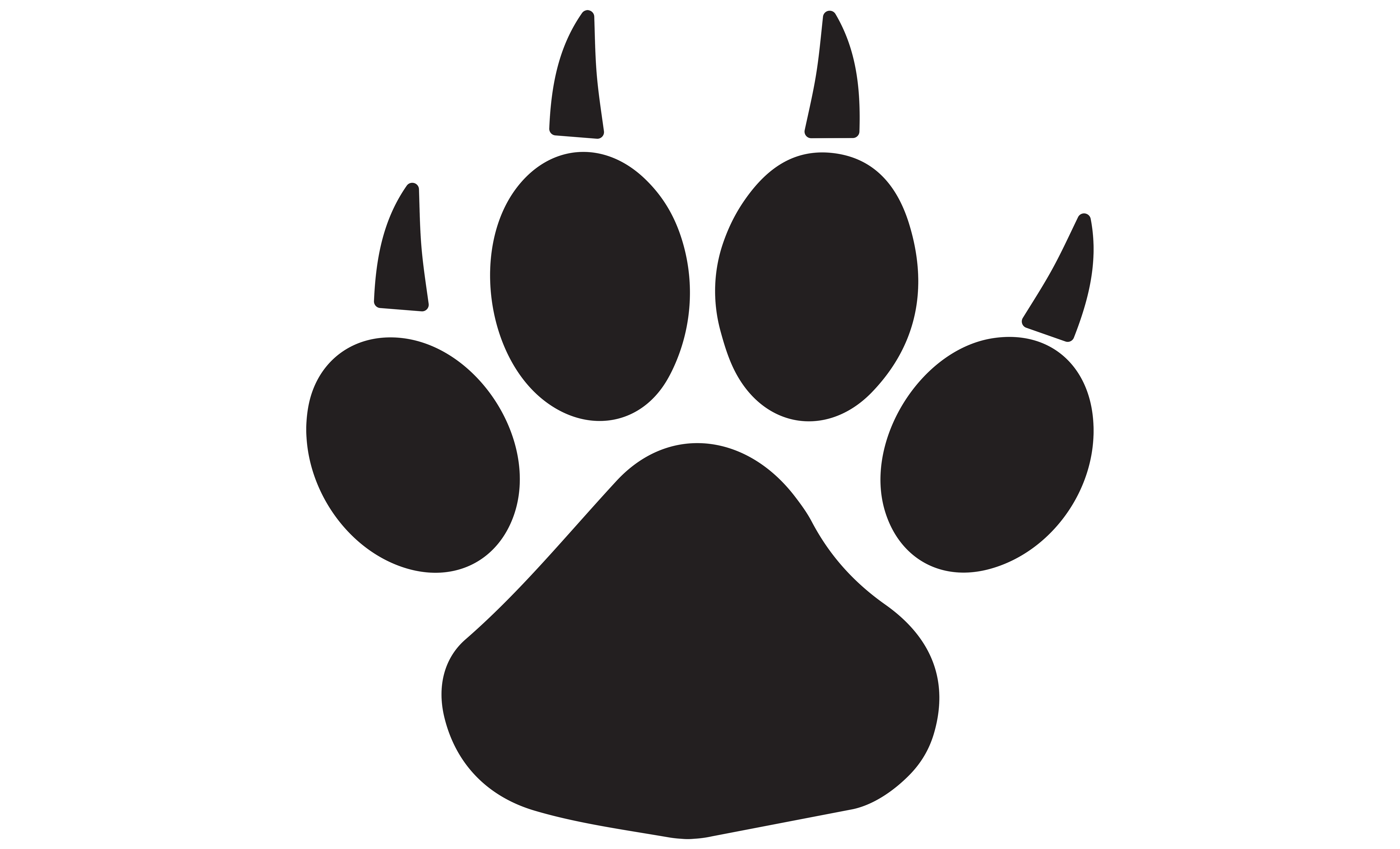 Paw Icon